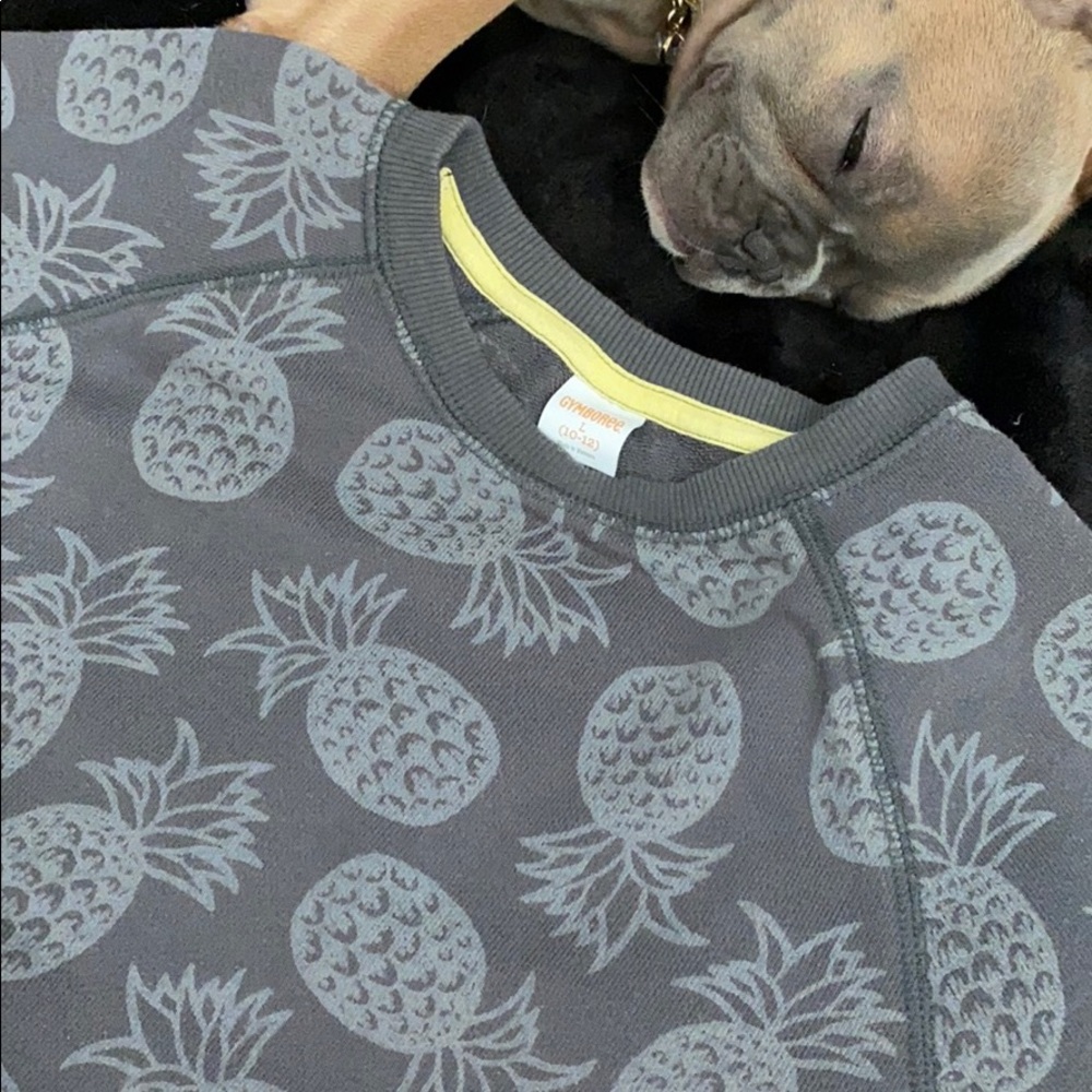 Gymboree fleece pineapple tee